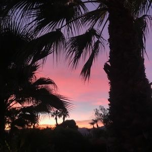 Meet your Posher, Maddy